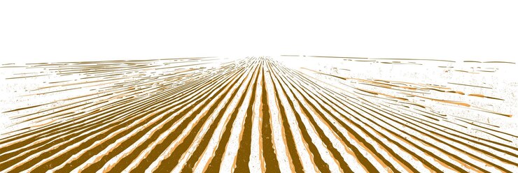 Vector vector farm field landscape pattern of plowed furrows in preparation for crops planting rows of soil rural countryside perspective horizon view vintage realistic engraving sketch illustration