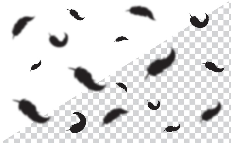 Vector 격리된 투명 배경에 있는 벡터 깃털입니다. 떨어지는 깃털