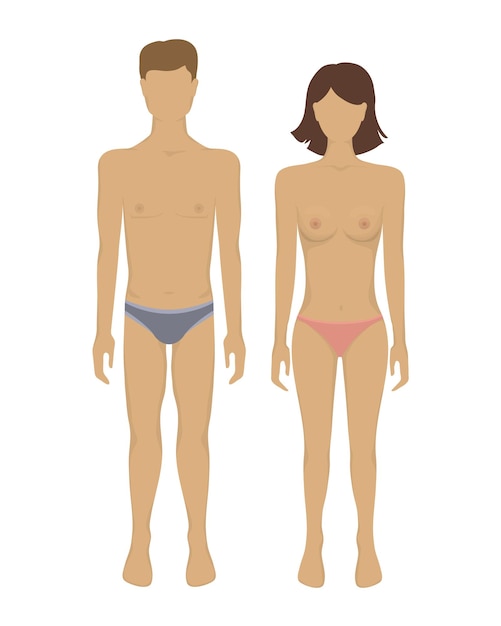 Vector female and male body