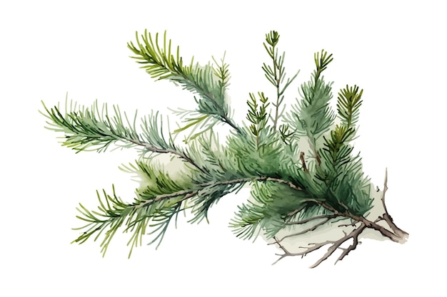 Векторные ветви елки рождественский фон зимняя иллюстрация праздничный рисунок