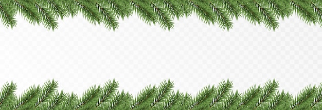 Vector fir branches spruce branches png pine spruce christmas decorations christmas background