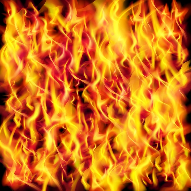 Vector vector fire flame texture background