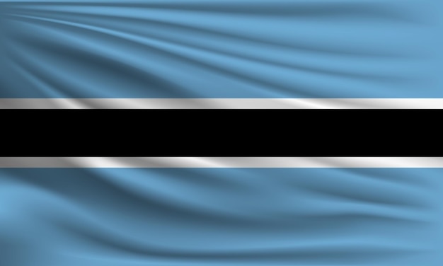 Vector flag of Botswana with a palm