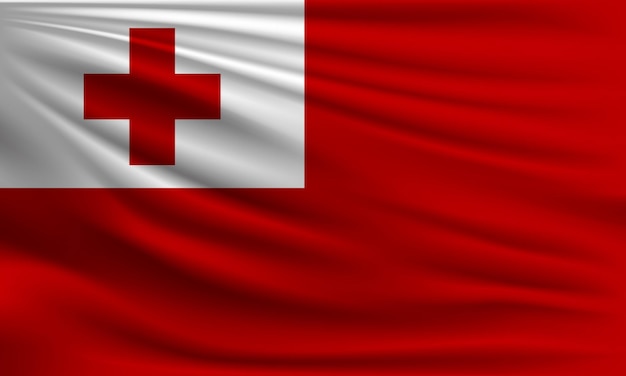 Vector flag of Tonga with a palm