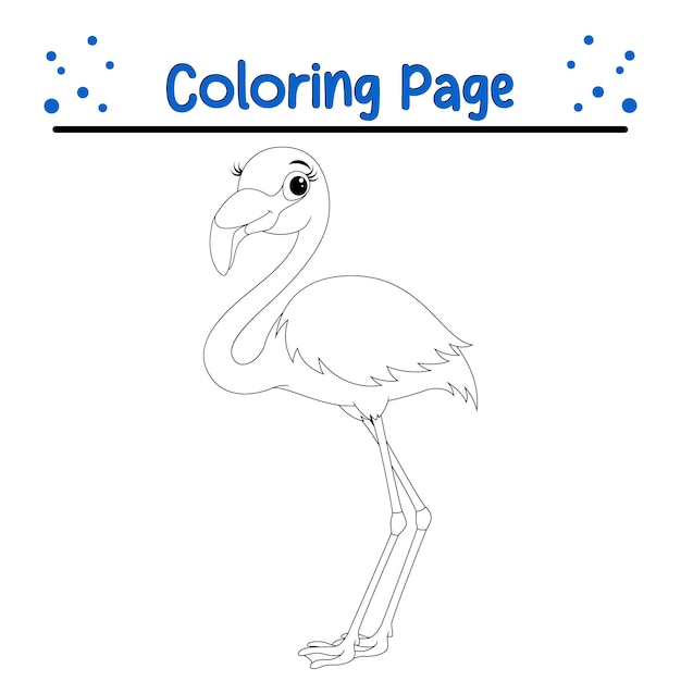 Vector flamingo coloring page isolated for kids