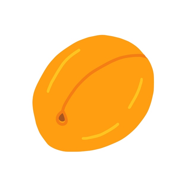 Vector flat apricot isolated