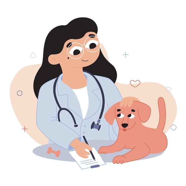 vector flat cartoon illustration the doctor treats the puppy