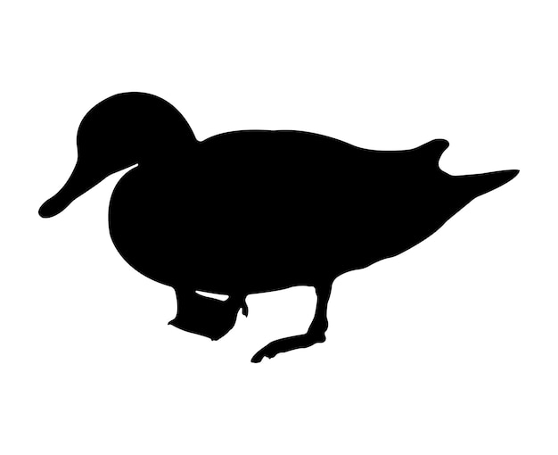 Vector vector flat duck silhouette isolated on white background