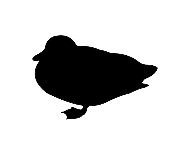 Vector flat duck silhouette isolated on white background