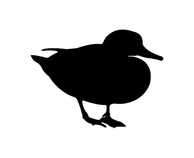 Vector flat duck silhouette isolated on white background