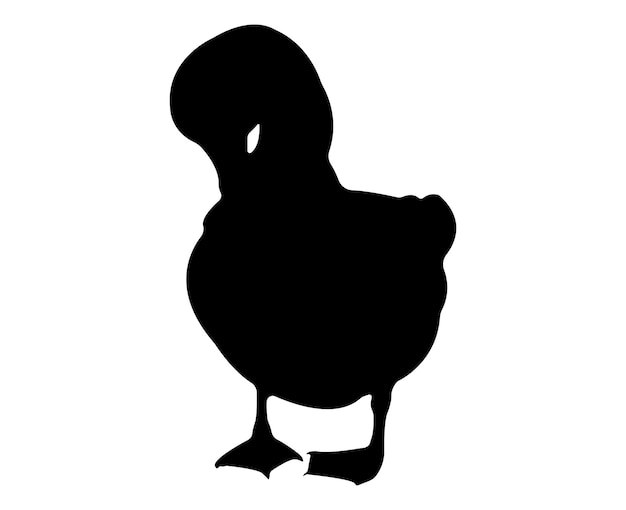 Vector flat duck silhouette isolated on white background