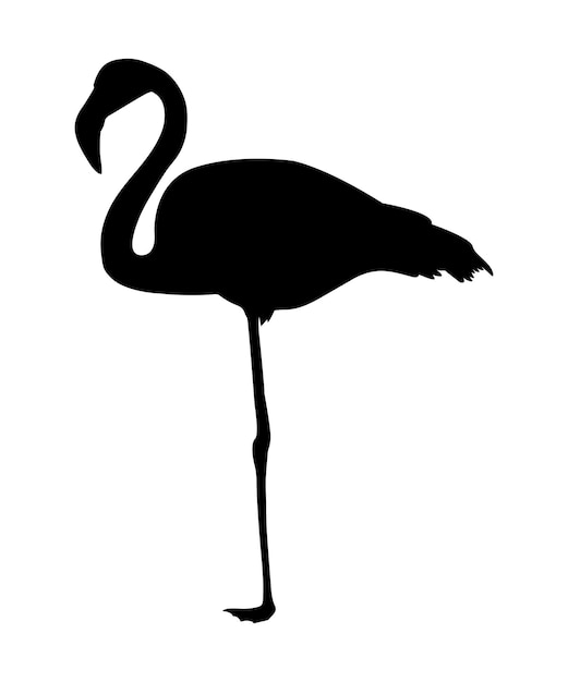 Vector flat flamingo silhouette isolated on white background.
