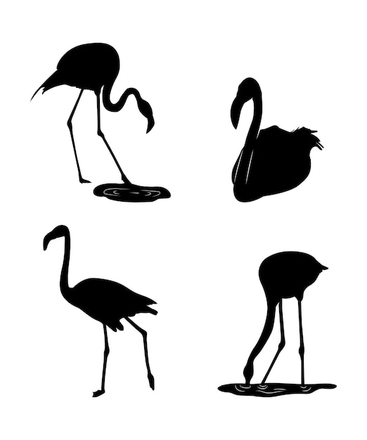 Premium Vector | Vector flat flamingo silhouette isolated on white ...