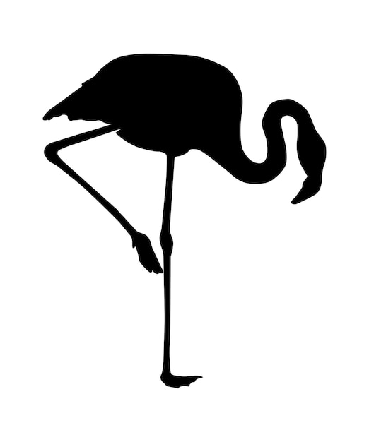 Vector flat flamingo silhouette isolated on white background