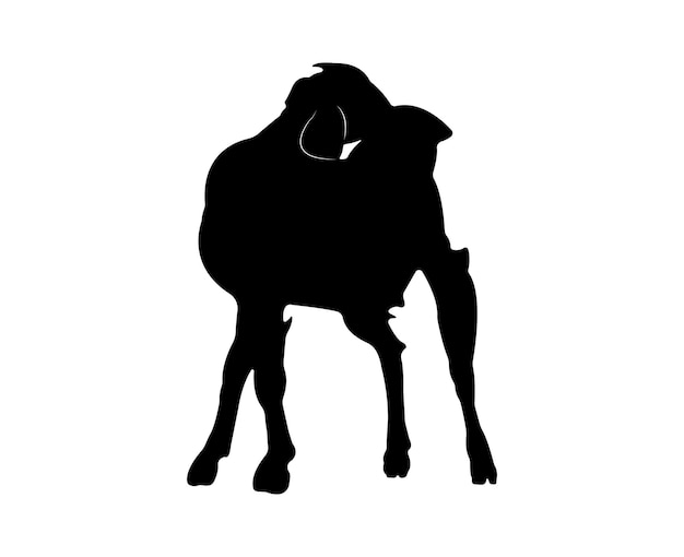 Vector flat goat silhouette isolated on white background