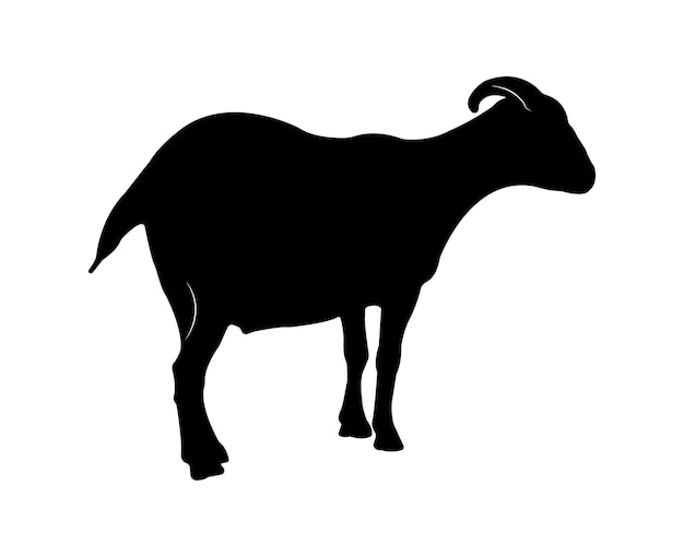 Vector flat goat silhouette isolated on white background