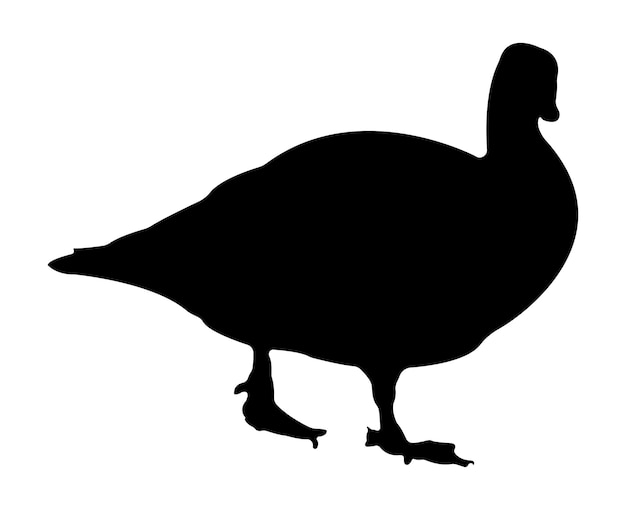 Vector flat goose silhouette isolated on white background