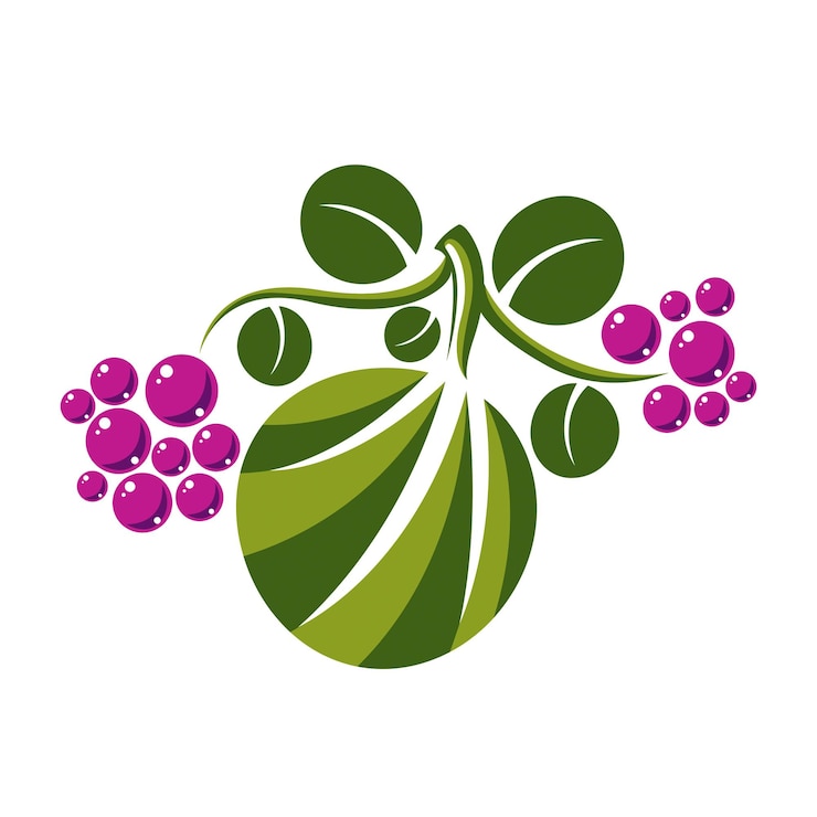 Vector vector flat green leaf with tendrils and purple seeds. herbal and botany symbol isolated on white background, spring season natural icon. harvest idea design element.