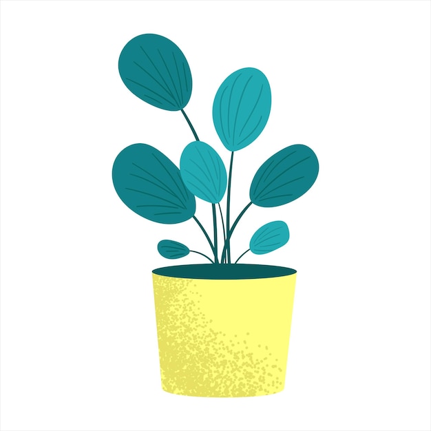 Vector flat houseplant collection