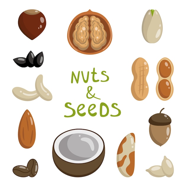 Vector flat illustration of nuts and seeds