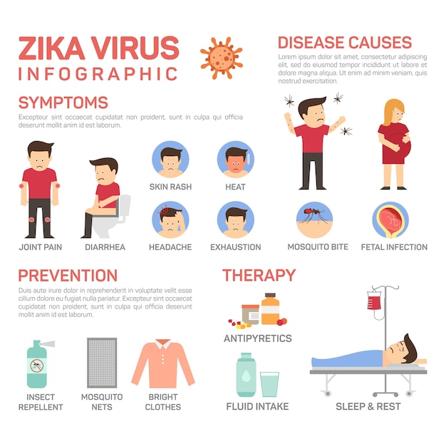 Векторная плоская иллюстрация инфографики вируса зика