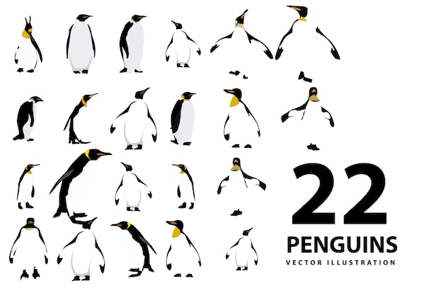 vector flat illustration set of penguins in different poses. Adult birds and chicks. Vector