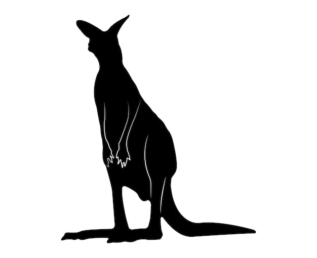 Vector flat kangaroo silhouette isolated on white background