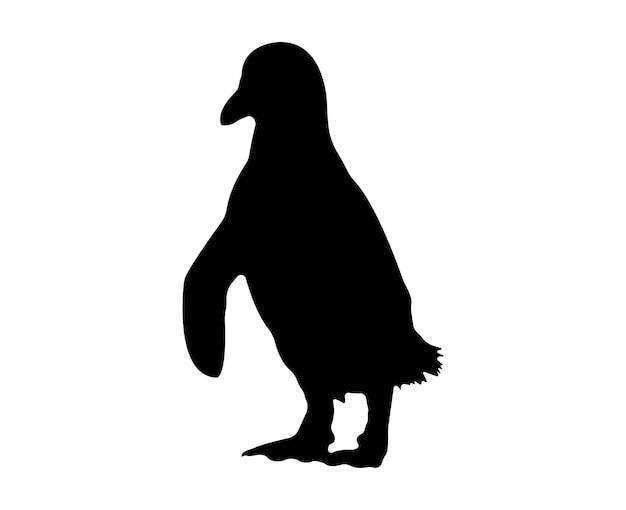 Vector flat penguin silhouette isolated on white background