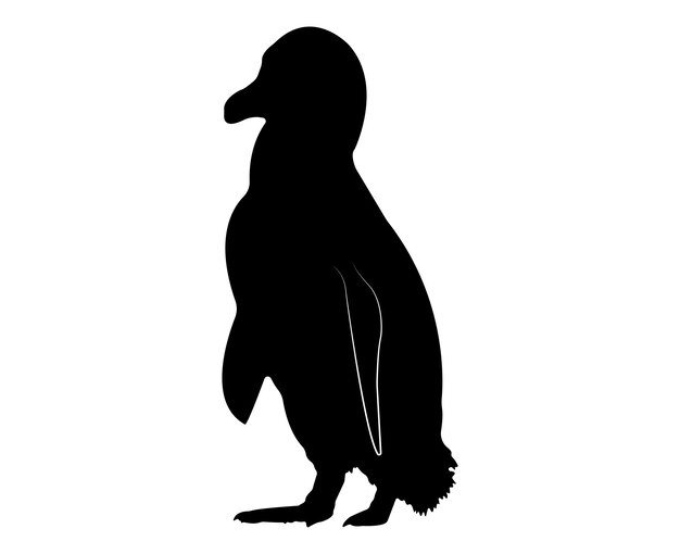 Vector flat penguin silhouette isolated on white background