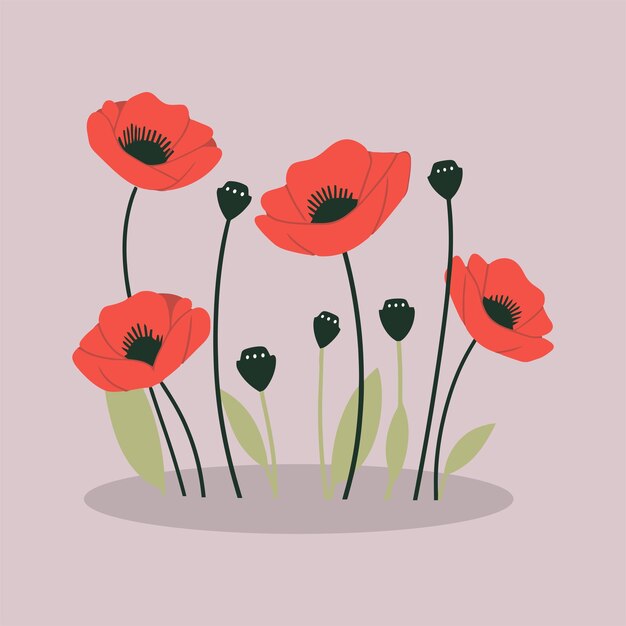 Vector vector flat poppy flowers illustration