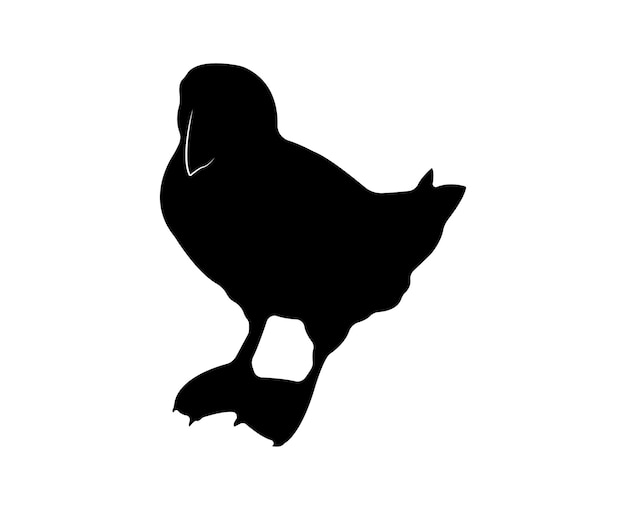 Vector flat puffin silhouette isolated on white background
