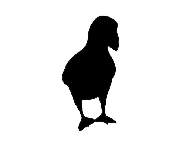 Vector flat puffin silhouette isolated on white background