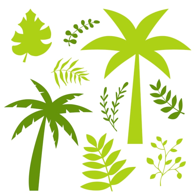 Vector flat set of tropical leaves