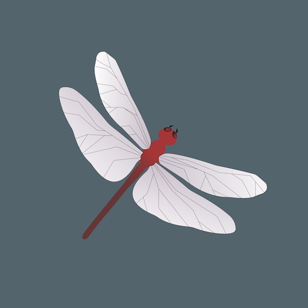 Vector flat simple print of an elegant red dragonfly insect