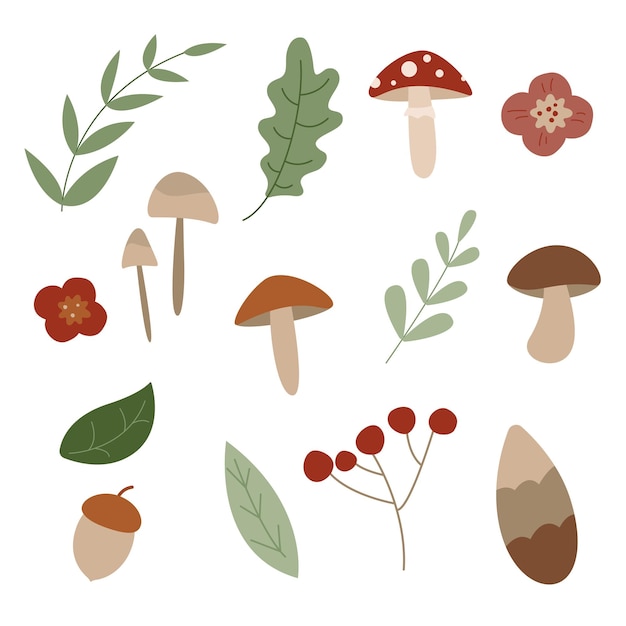 Vector flat style of vector forest mushrooms and set of forest elements