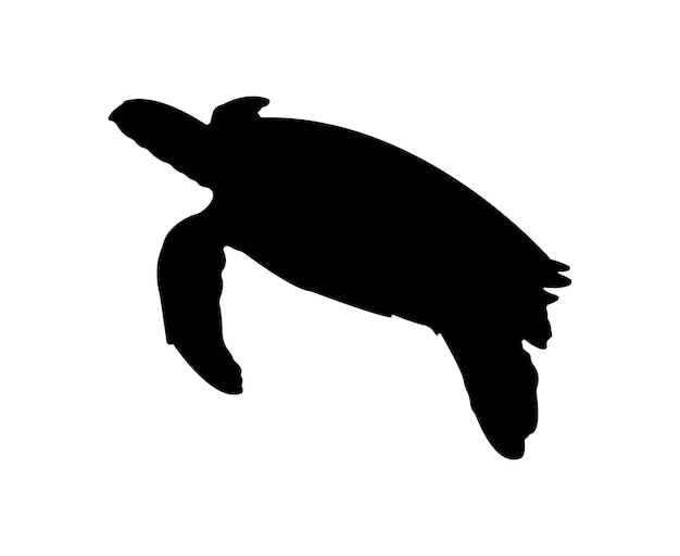 Vector vector flat turtle silhouette isolated on white background