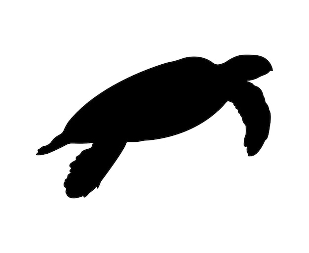 Vector vector flat turtle silhouette isolated on white background