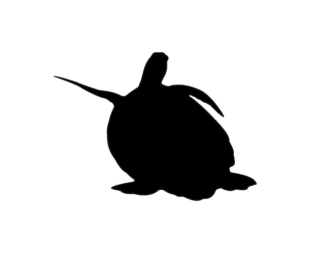 Vector flat turtle silhouette isolated on white background