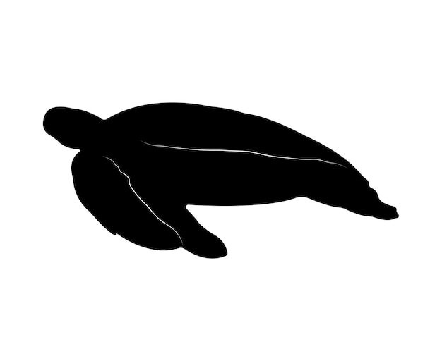 Vector flat turtle silhouette isolated on white background