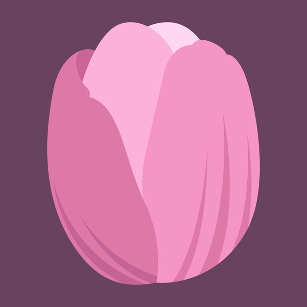 Vector flatstyle tulip flower illustration isolated