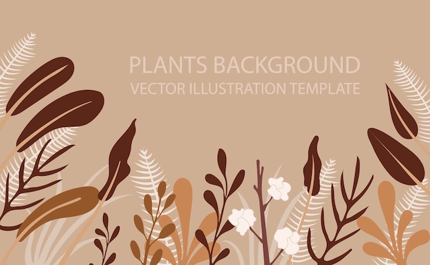 Vector Floral Background, Dried Flowers, Minimal Illustration, Abstract Background Template.