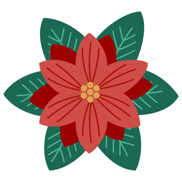 Vector vector floral christmas illustration red poinsettia flower