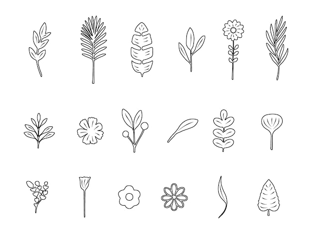 Vector vector floral collection line art hand drawn style