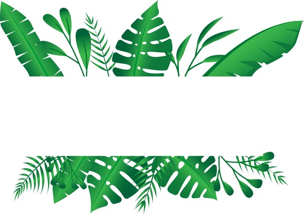 Vector vector floral frame forest fern tropical leaf folliage