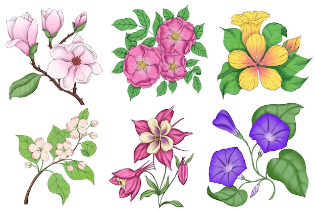 ベクターの花のイラストを設定します。マグノリア、ローズヒップ、ハイビスカス、アップル ブロッサム、オダマキ、私