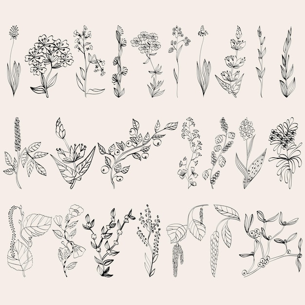 Vector vector floral set