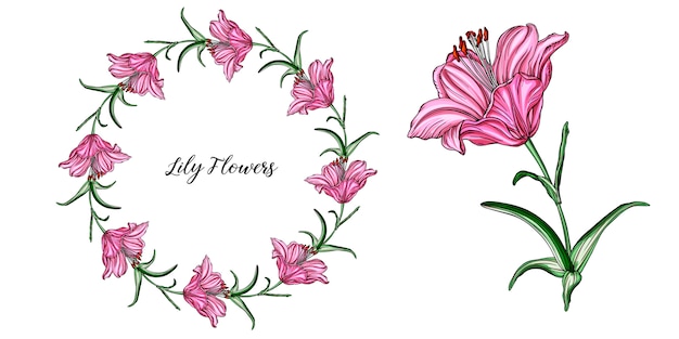 Vector flower arrangements with Lily flowers.