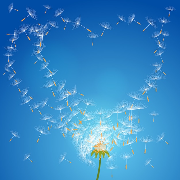 Vector vector flower dandelion on a wind loses the integrity forming love