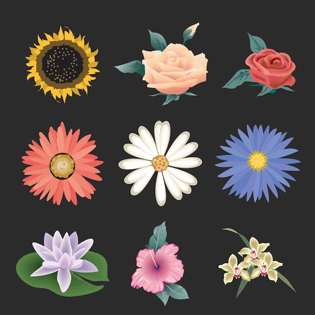 vector flower design