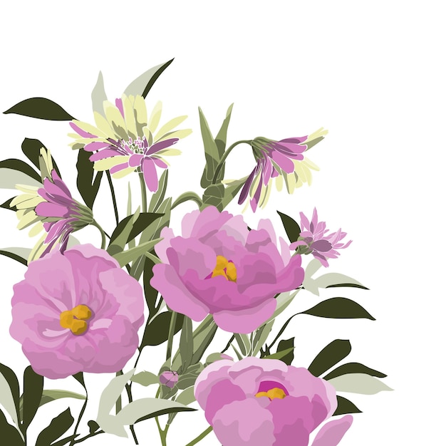 Illustrazione del fiore vettoriale peonie rosa su sfondo bianco